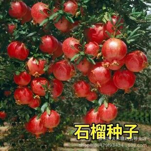ʯ��N���辰ˮ��ʯ������N�Ӻ��������ļ����Nˮ���N��