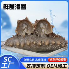 �rʳ�������S�rʳ�����|�̅��r�����l���B����