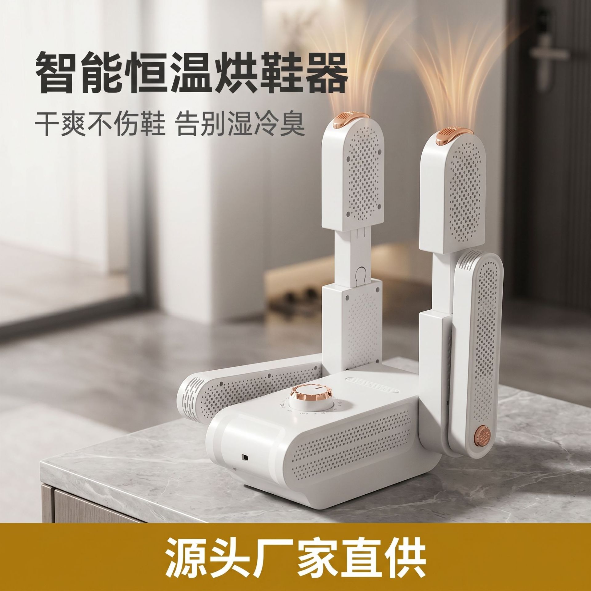 New cross-border product: Smart timed household shoe dryer, suitable for both wet and dry use, eliminates odors, and is compact and easy to store