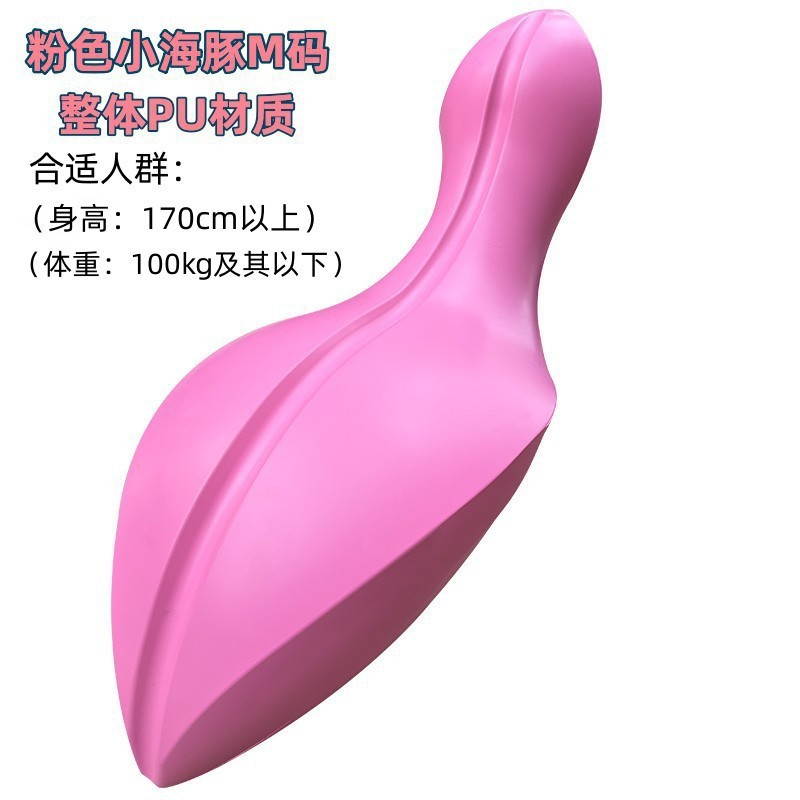 プラティの小さいイルカのoovヨガの脊椎の脊柱は矯正して背中の核心の訓練のバランスの器具を矯正します。|undefined