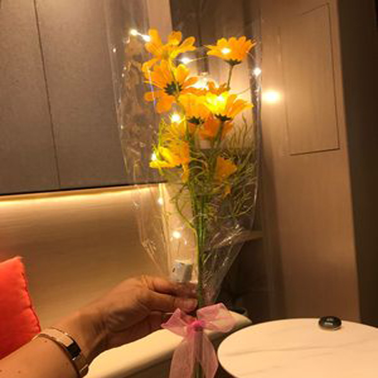 O1CN01exBdKK1b0cV2RSqYN_!!2010