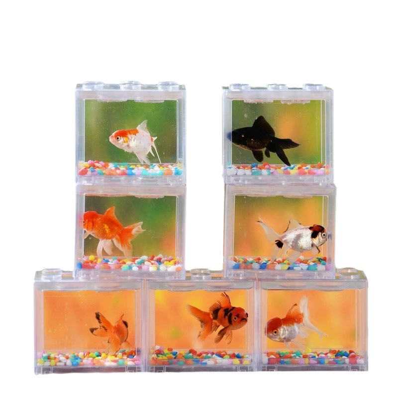 Полностью прозрачный строительный блок ведро аквариум Мини маленький настольный творческий ящик Douyu аквариум для медуз прозрачный ящик для декоративных рыб HD
