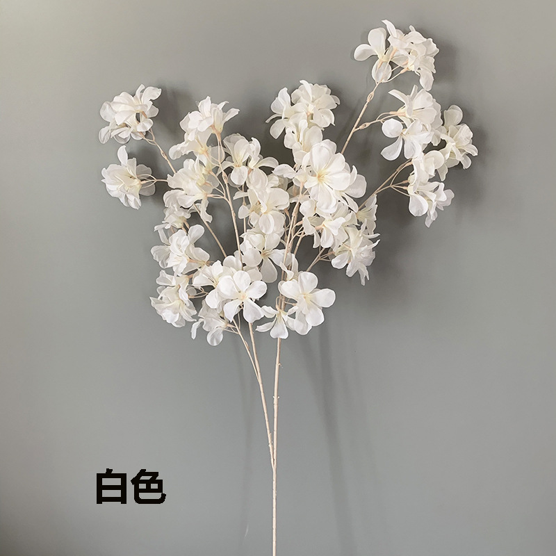 화이트-SH