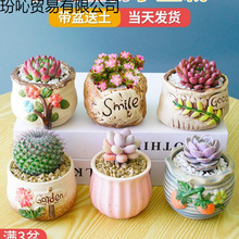 ����ֲ��M���҃�С������¶�ҵ����մɻ������Ϙ��������҃�