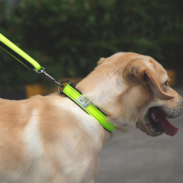Manufacturers supply new dog pet night light items nylon dual D…