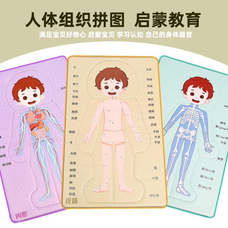 Fuente de fabricación de niños de la ciencia y la tecnología de los estudiantes de primaria pequeños experimentos pequeños inventos kits de materiales de ayuda didáctica