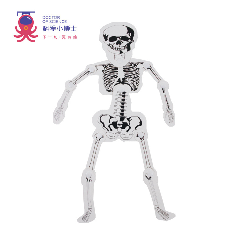 Ciencia pequeño experimento al por mayor vapor Escuela Primaria estudiante juguetes educativos ciencia y educación material hecho a mano paquete DIY Tecnología pequeña producción