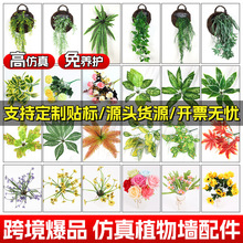 ����ֲ��Gֲ���廨�G�~��Ġ����b��^�z�~�Ӳ�˹�T���������