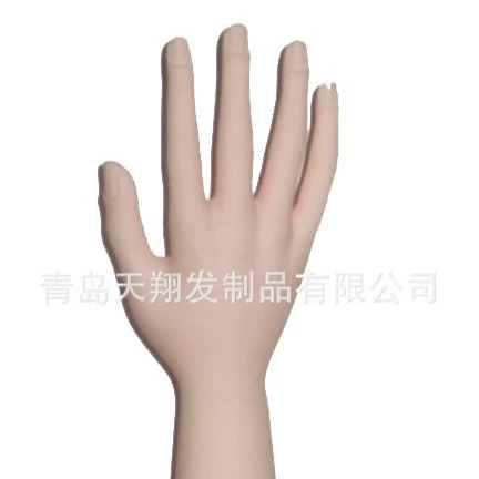 Модель руки поставки. Перчатки.
