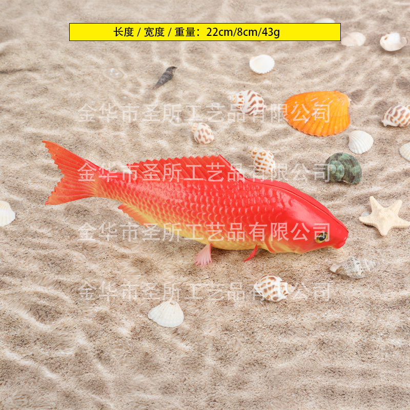 붉은 잉어 트럼펫