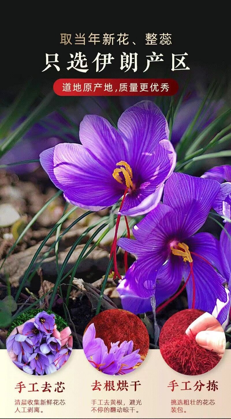 Premium Saffron Threads 1g Bottle Zang Hong Hua Dried Crocus Stigmas for Tea and Culinary Use quality and texture