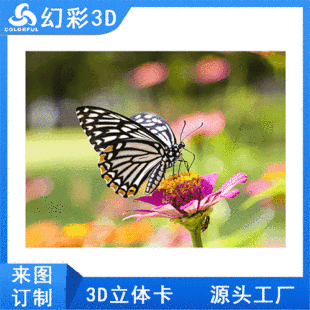 ���۹�ˇ��Ů����S���w��ӡˢ3D׃�Q�D�����u׃��ͨ�N������ӡˢ