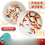 冷水小金鱼观赏鱼纯种锦鲤鱼小观赏鱼耐活冷水鱼苗红金鱼
