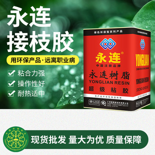 ���B285A��֦�zƤ���X���ִ��zˮ�Ҿ����������֦�zЬ���N���z