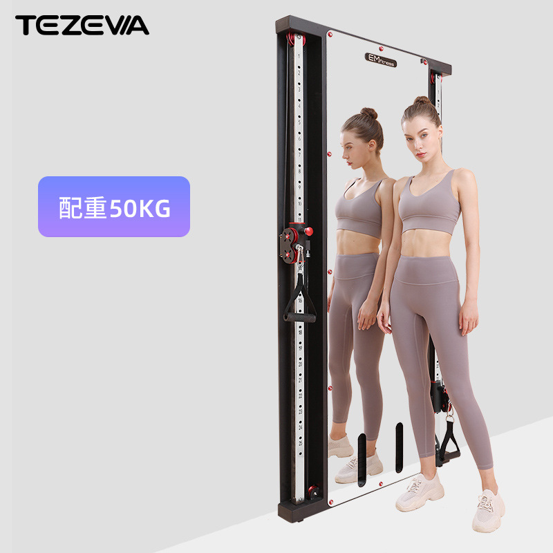 Pórtico de pájaros montado en la pared espejo de pared de un solo lado montado en la pared para el hogar pequeño pájaro poder entrenador integral