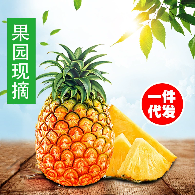 Hainan Golden Diamond Pineapple Fresh 10 кг подлинный ананас целая коробка свежие фрукты ветер груша сезонные духи ананас оптом