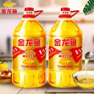 �����~�S������{���� 4L �������ը