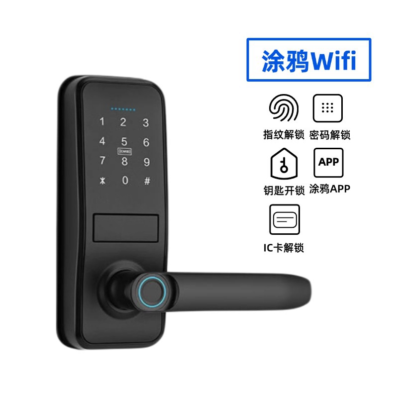 검정색 - 지문 + 비밀번호 + IC 카드 + 모바일 앱 + 키(Tuya wifi)