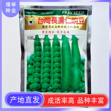 ����㶹�N�ӷN�����붹�N�ඹ�߮aͥԺ�r���ļ��ﶬ�����㶹�N