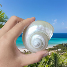 ����ؐ����ɹ��ݒ����R���ݹ����ɫ�����ݙ����b��~���쾰