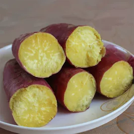 月饼;传统糕点;软糖