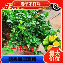 һ�����lС��������С��ۘ亣��С��ۙ��ʘ������̨ˮ�������