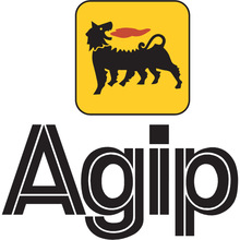 �����AGIP ARNICA S 22����֬ARNICA S 46������ARNICA S 68