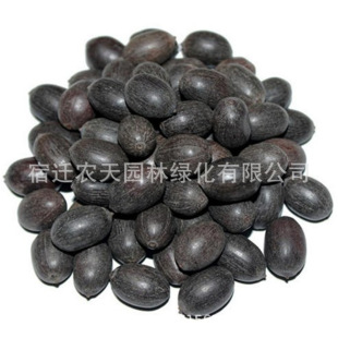 ��ɏ�N���_��ɏ�Ӻɻ��N��˯ɏ�N��ˮ��N���ļ��Nˮ�B����ɏ�N��