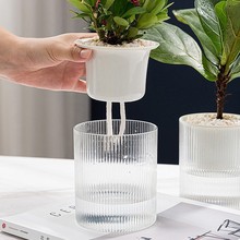 �@ˇ�����Ԅ���ˮ��Ƀ�ˮ����͸��ˮ��G�j���s�@ˇ������ˮ�Gֲ