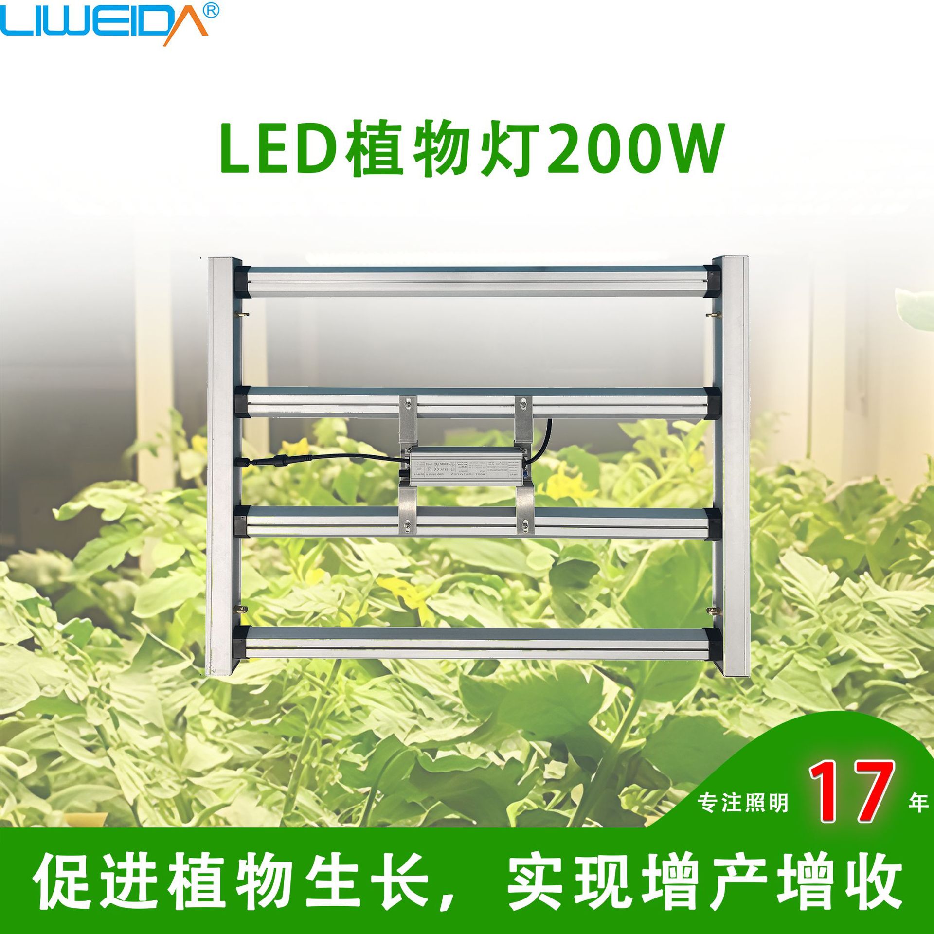 �羳���Ҵ���LEDֲ���200Wȫ����ֲ�����������