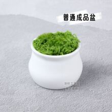成品塑料小花盆毛线钩织DIY扭扭棒盆栽迷你花盆创意摆件车载批发