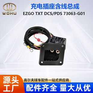 Ezgotxt Medalist Dcs/Pds Golf Cart 36V 73063-g01 Charging Socket with Cable