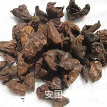 l  ·  Ƥ  Ƥ Ƥ ɽƤ