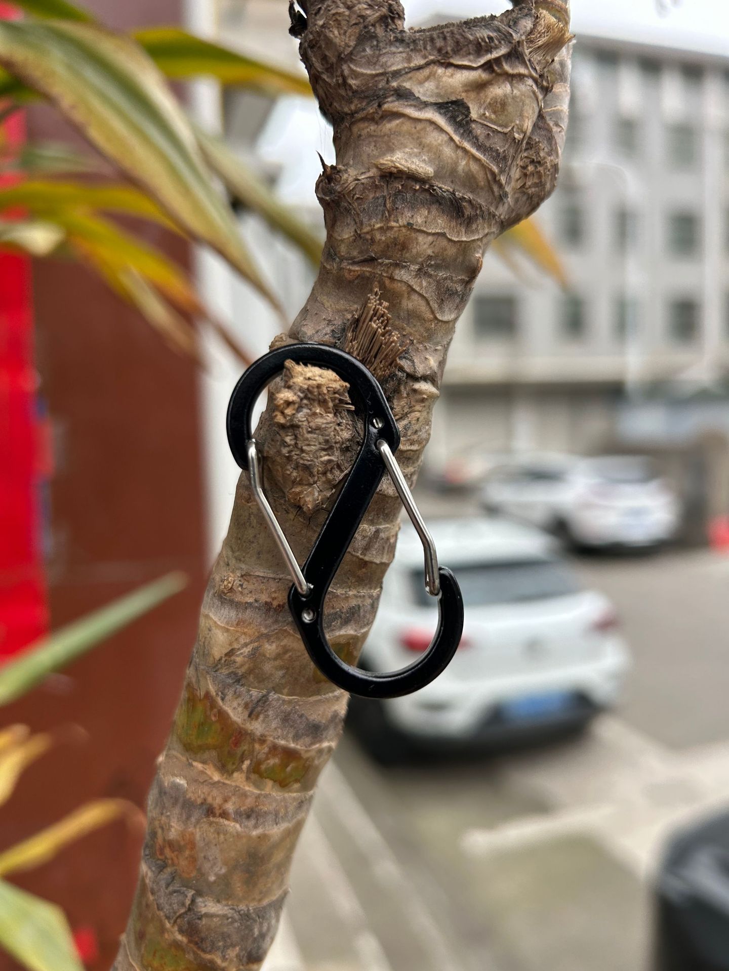 6c7a12e96ef9043ac76970472391b4