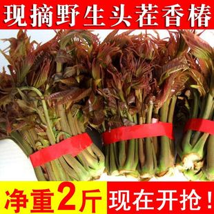 �㴻ѿ���r�^��Ұ���t���㴻�^��ѿ���㴻�~�Fժɽ�|�Ĵ��㴻����