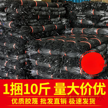 ���B���������z���z�K�������������K��������ɽ�Ď����񉾵���