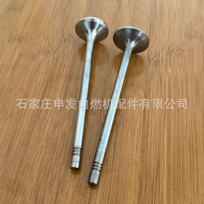 Valves and components (SDEC) MAN 11 intake