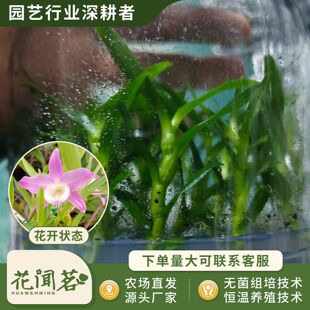 ��ʯ�� 3071 �ۉ���ƿ���׳ɻ�M��С�� �҃������Ի�������r��