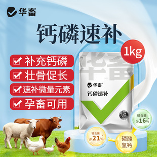�A���}�����a���a������}�iţ��������ӄ����u���a�}�a��������