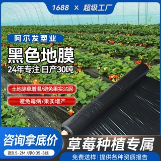 草莓种植地膜农用黑色地膜塑料聚乙烯蔬菜薄膜果园保温PE除草农膜