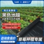 保温除草种植果园薄膜