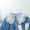 Autumn set, dress, shirt, small princess costume, skirt, 2023 collection, long sleeve