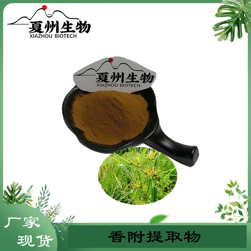 香附提取物 10/20/30/50:1  香附子粉  香头草提取物  厂家销售