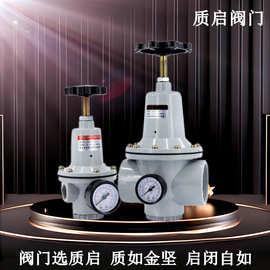 QTY空压机压缩空气减压阀气体压力调压调节阀 泉州质启空气减压阀