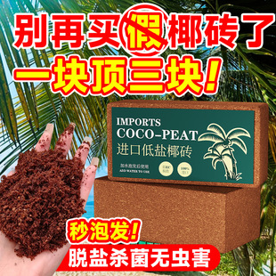 Ҭ�u�I�B���B��ͨ����Ҭ����Ҭ����Ҭ���N���û����Nֲ�I�BҺҮ�u