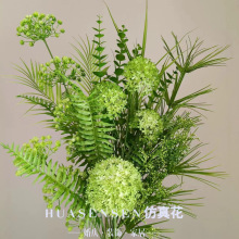 ��c��ˇ������~ֲ���Pβ�~���ȼ������X�ݻ�Y�����[�ľGֲ����