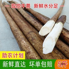 ���]�F��ţ�����r����5��x�m���nɽţ���Բ��˾�����ϲ˰��