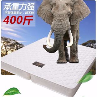 �h���؃r���|���p��1.5m1.8mϯ��˼�Ӻ�20CM�ۯB���ɴ��|���]��