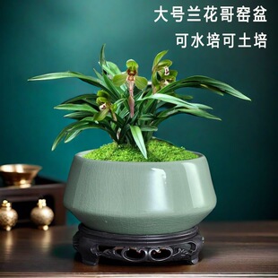 ��̖�m���辰��G͸�⻨�������մɳ��������ɰ�脓�����Gֲ��