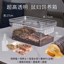 ��D��B����B�������x��B����D����D��B�ײ������x��B